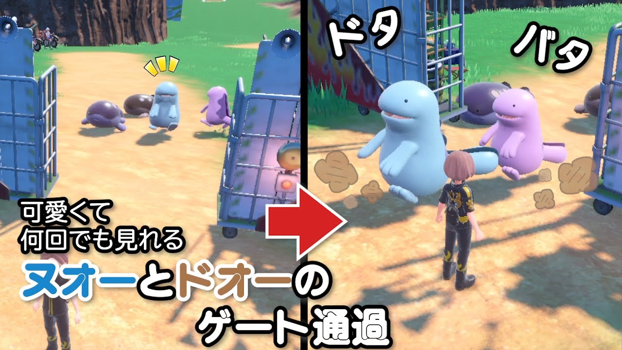 可愛くて何回でも見れるヌオーとドオーのゲート通過【ポケモンSV】