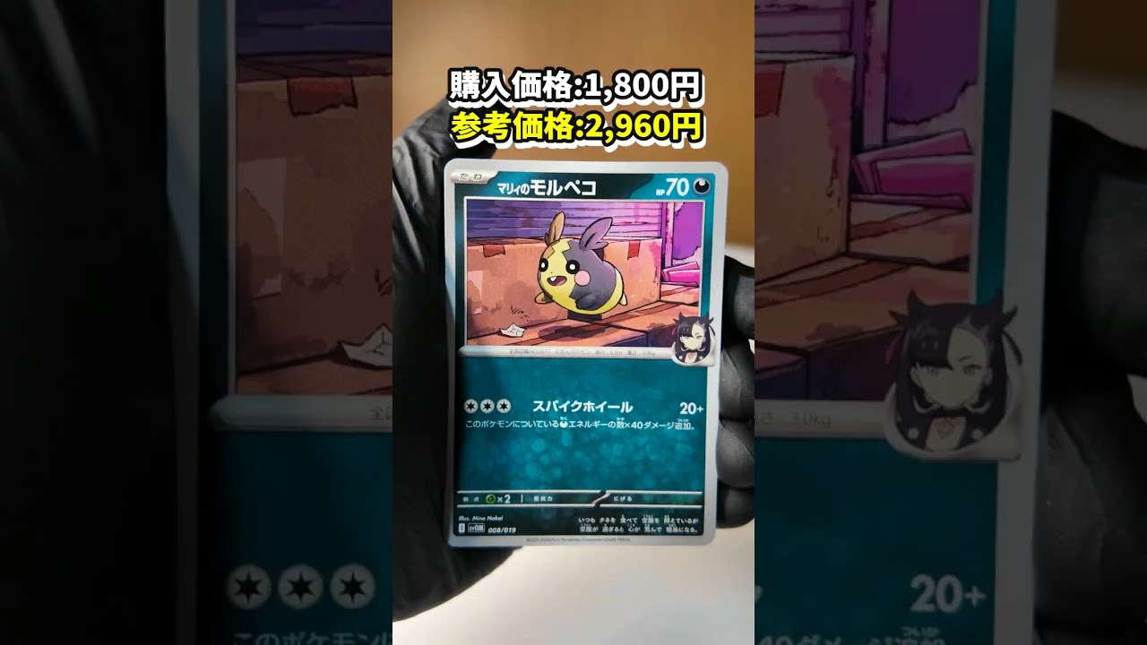 【マリィのモルペコ＆オーロンゲex】ポケセン産を開封した結果...※参照価格は2025年2月21日時点のカードショップ価格を参照【ポケカ】※asmrにする為、音を大きく拾っています。