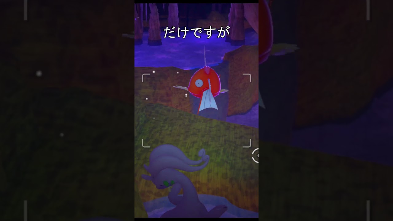 不憫なコイキング　#ポケモン #ポケモンスナップ #コイキング