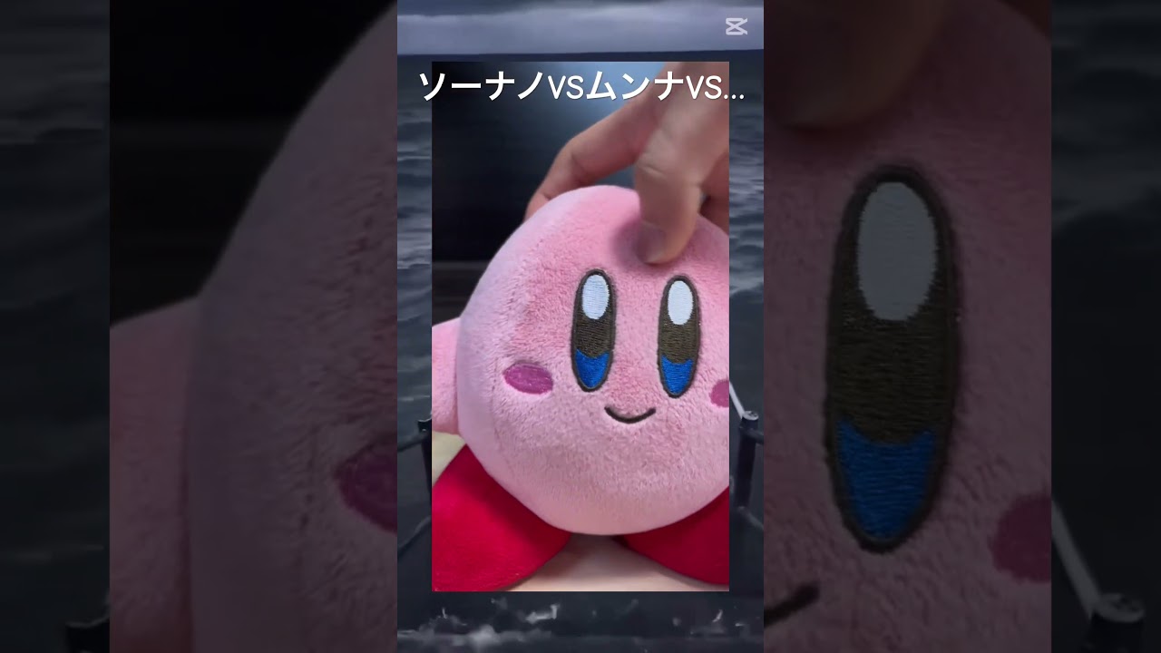 ソーナノVSムンナVS…