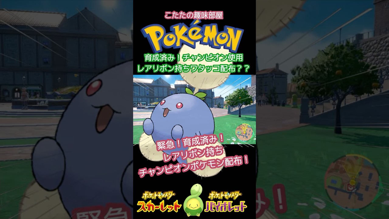 【ポケモン】育成済み！チャンピオンのワタッコ！期間限定配布！レアなリボン持ち？【ポケモンSV】#ポケモン #shorts