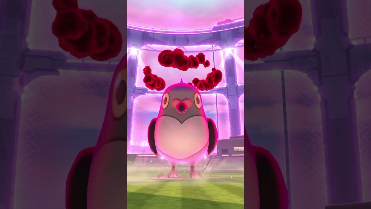 #ポケモンgo マメパト　ダイマックス #pokemongo #レイドデイ