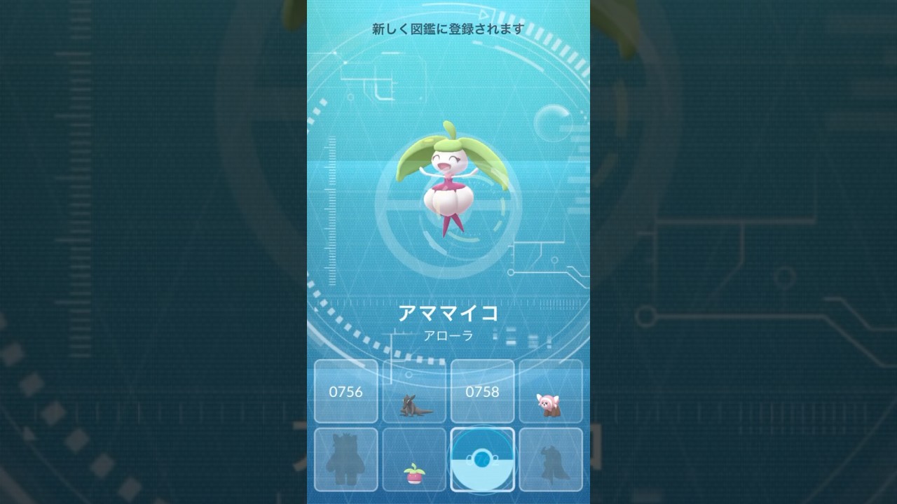 【 ポケモンgo 】 アマカジ → アママイコ ！？ポケモンアイドル！？【 うさぴよの巣 】 #bounsweet #steenee #pokemon #pokemongo