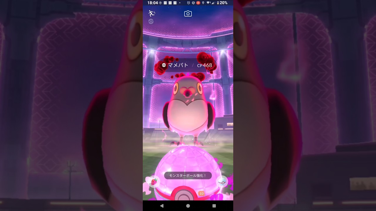 【ポケモンGO】マメパト（ダイマックス）GETチャレンジ。