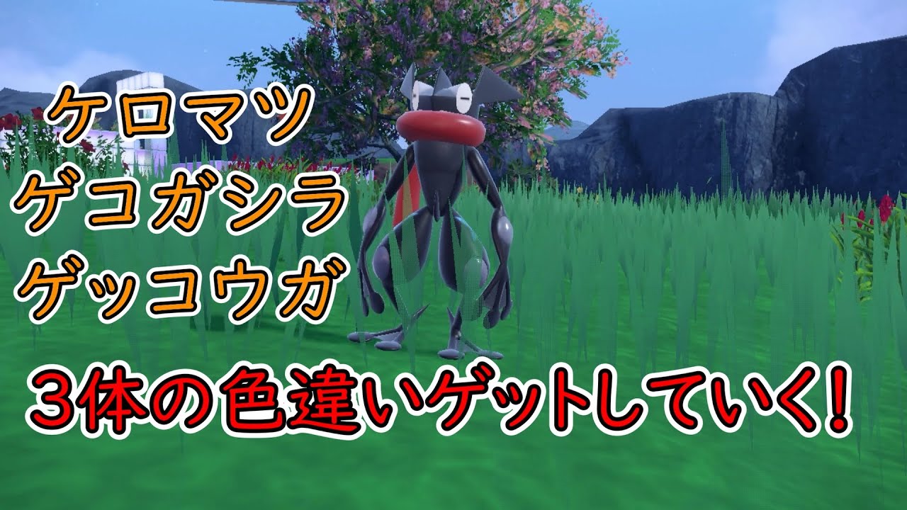 【ポケモンSV】ゲッコウガ・ゲコガシラ・ケロマツの色違い全員ゲットしちゃおー！！