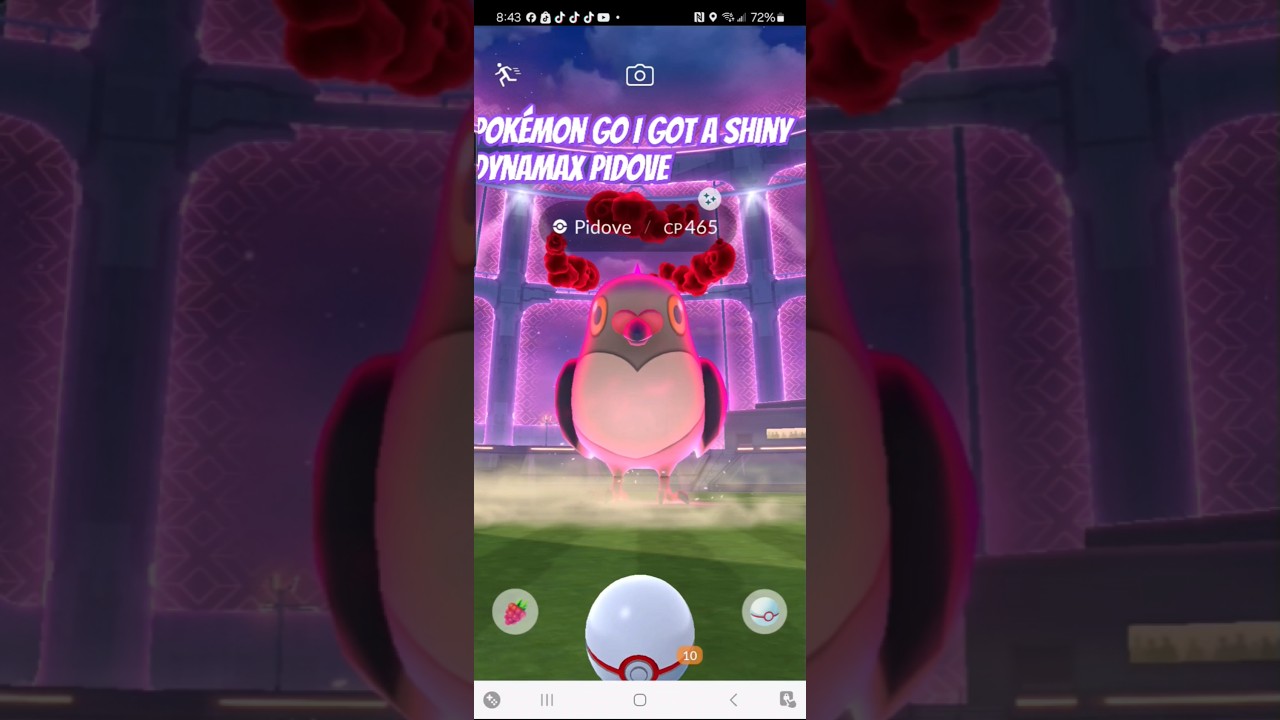 Pokémon GO I Got A Shiny Dynamax Pidove