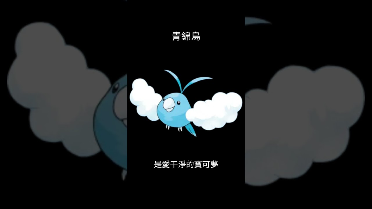 寶可夢圖鑑 #pokemon No.333 青綿鳥チルット Swablu #0333 #寶可夢卡牌 #pokemongo #寶可夢 #shorts #神奇寶貝 #第三世代