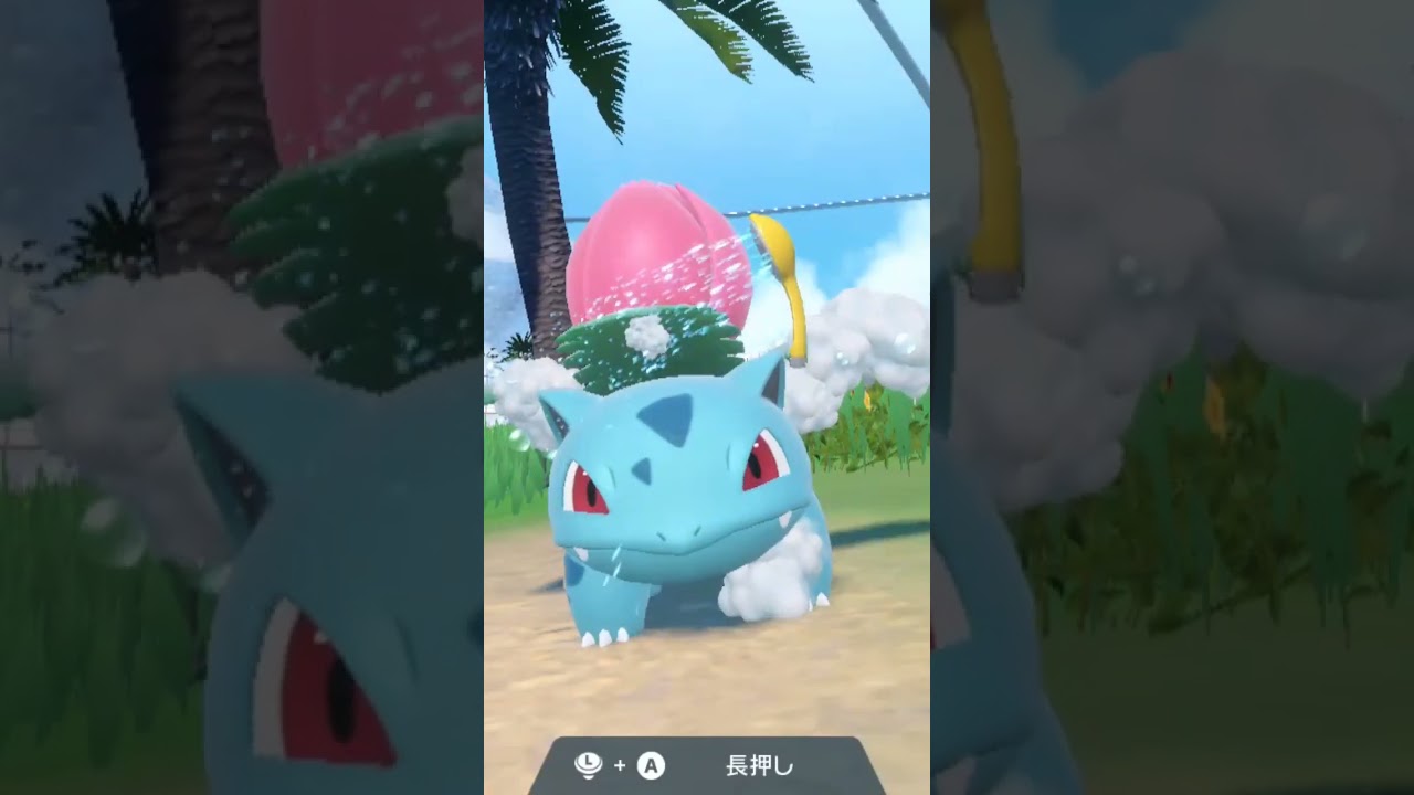 フシギソウ Ivysaur【ポケモンsv】