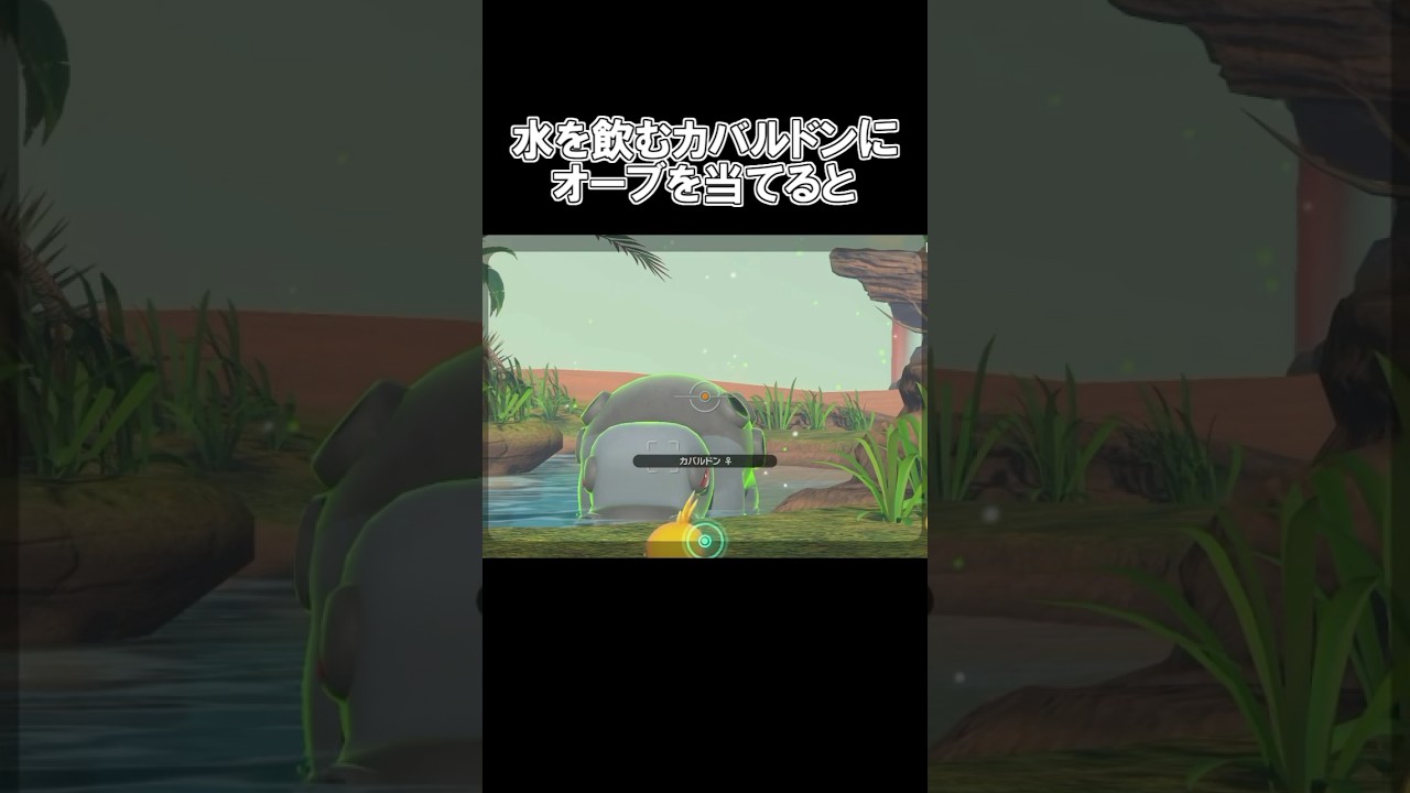 「カバルドンにオーブを当てると、、▼」　#ポケモン　#ポケモンスナップ　#ポケスナ　#shorts