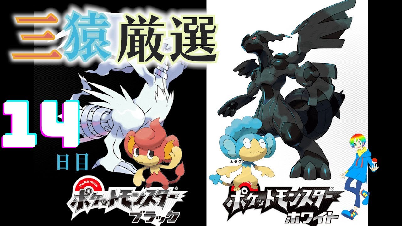 【ポケモンBW】バオップ・ヒヤップ(Shiny Wise Monkeys)厳選(14日目) 3900~