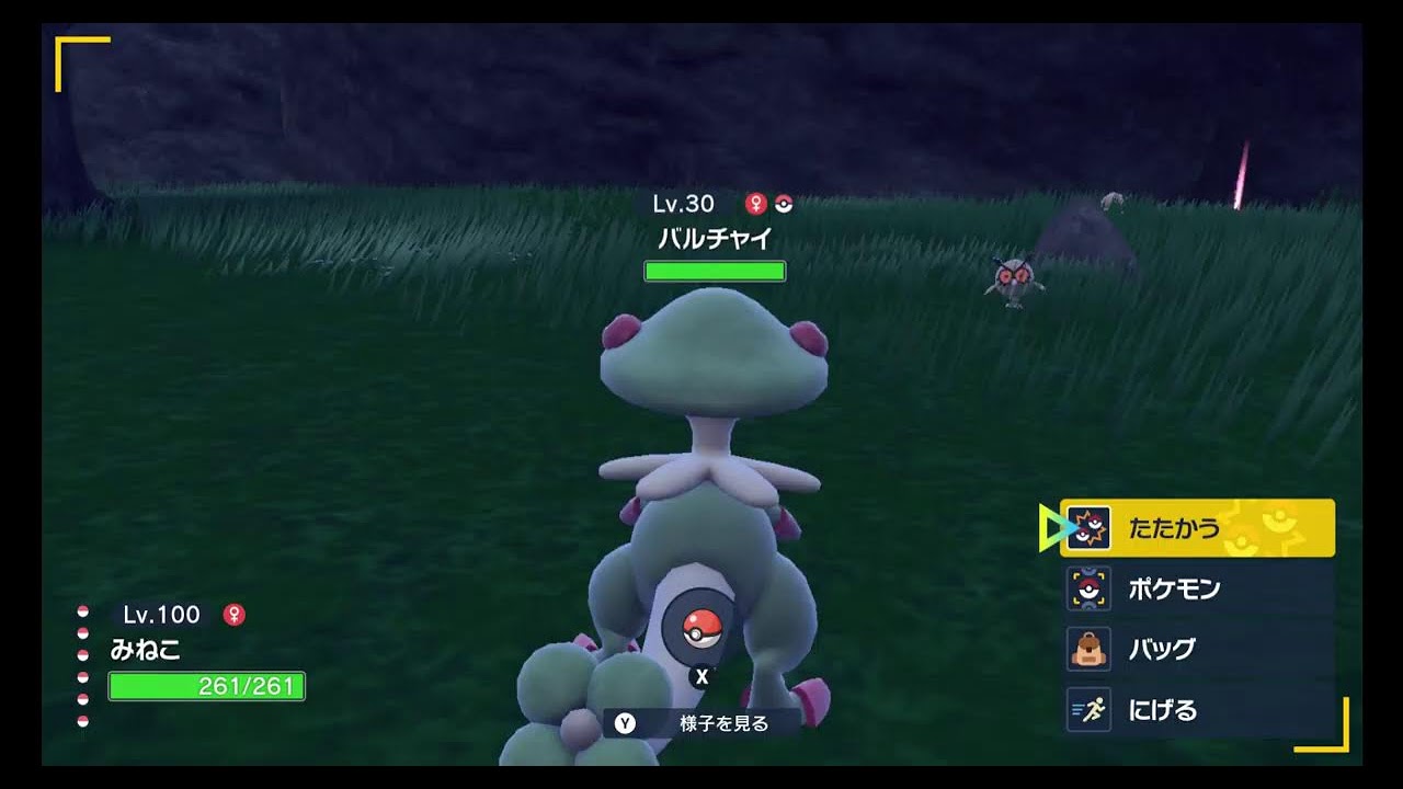 色クルミル眺める