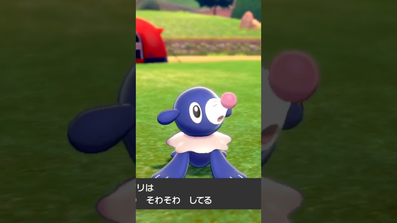 アシマリ 色違い Popplio【ポケモン剣盾】