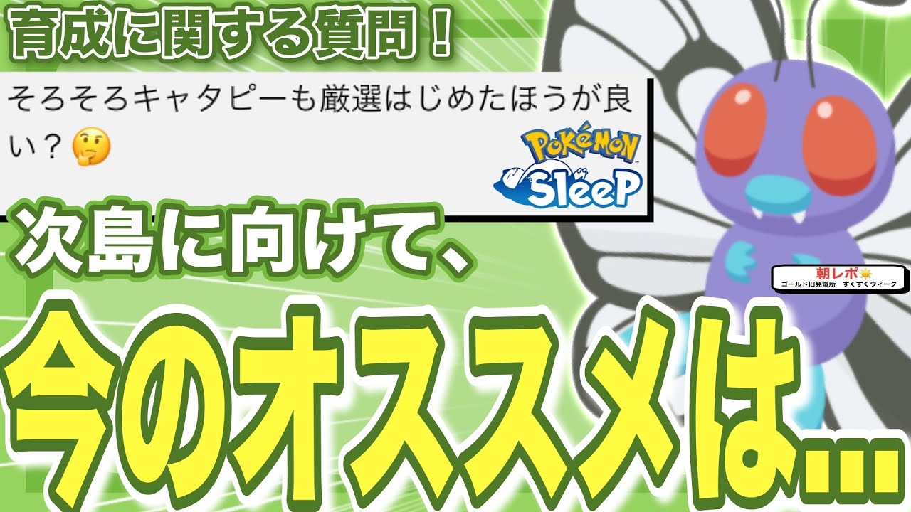 新フィールドに向けての準備！キャタピー厳選始めた方が良い？【ポケモンスリープ】【バタフリー】