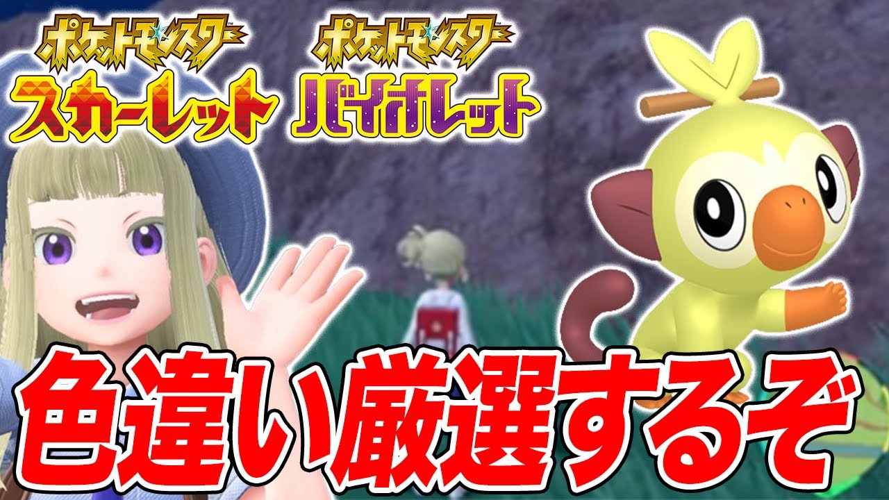【ポケモンSV】色違いのサルノリを厳選するぞ！ #1【スカーレットバイオレット】
