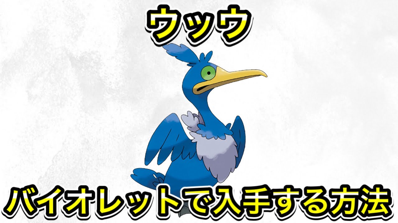 バイオレットでウッウを入手する方法