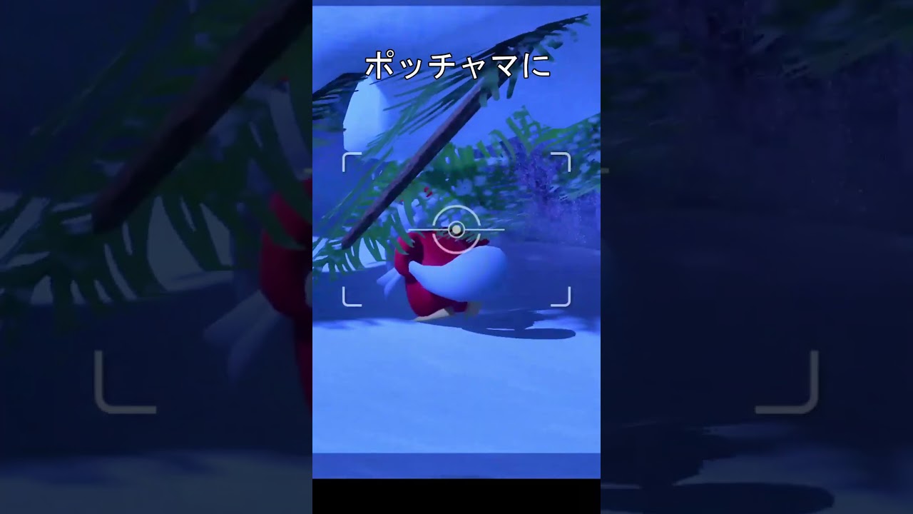 デリバードとポッチャマ　#ポケモン #ポケモンスナップ #デリバード #ポッチャマ