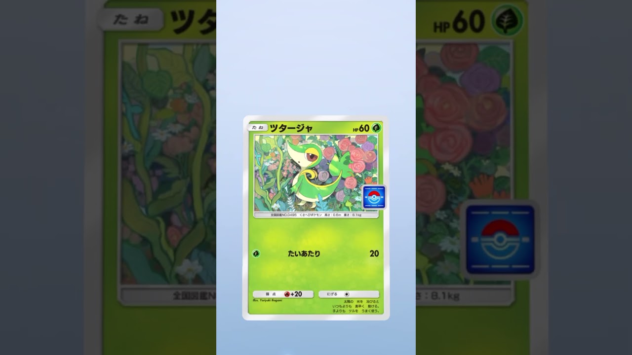 【ポケポケ】カメックス
