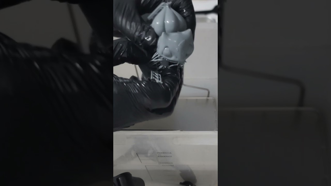 Bulbasaur | 3D Printed