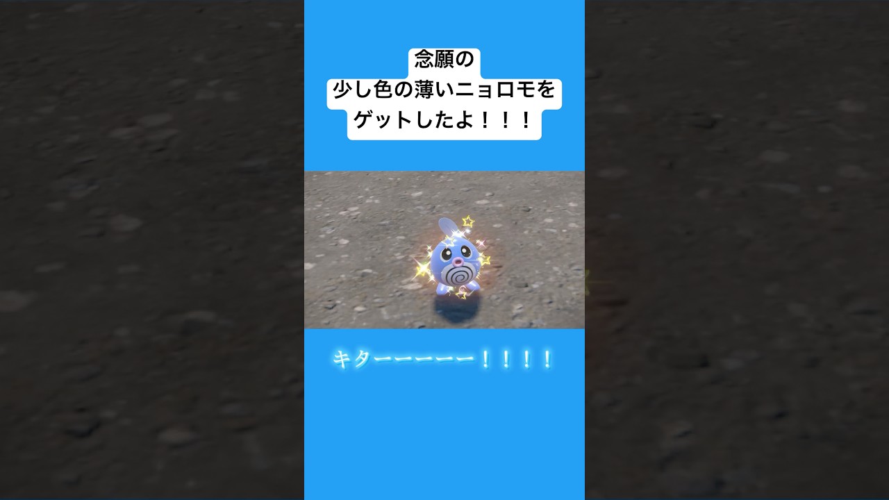 【１年越し】ついに念願の色違いニョロモをゲットした！【ポケモンsv】 #shorts #ポケモンsv #色違い #pokémonday #大量発生イベント