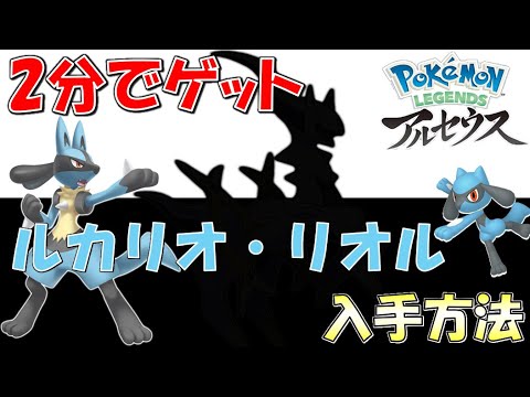 【ポケモンアルセウス】ルカリオ・リオルの出現場所・入手方法・捕まえ方