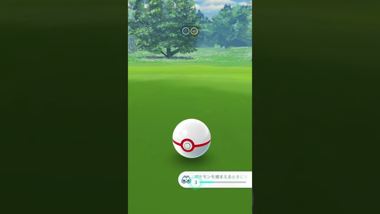 【ポケモンGO】【PokémonGo】Shiny Yveltal cool✨　色違いイベルタルGET！
