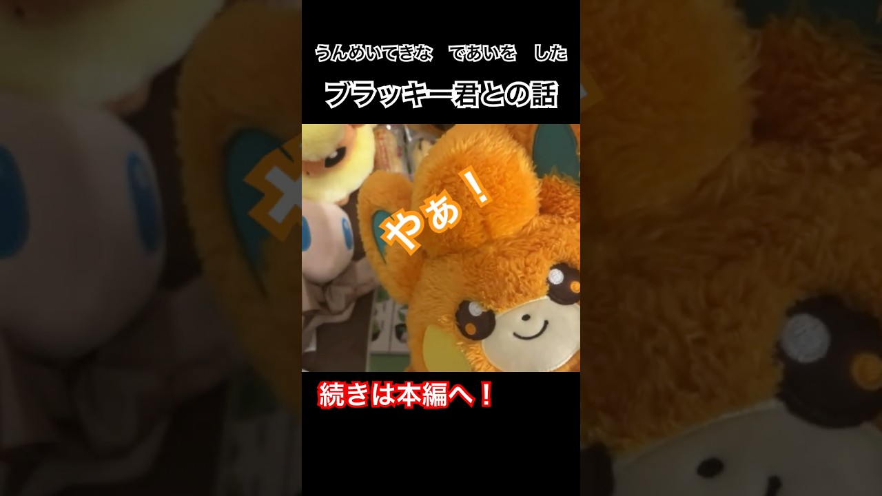 ブラッキーとの運命的な出会い #ポケモン #ふわふわ抱きぬいぐるみ #ポケモン #ポケセン #購入品 #購入品紹介 #お茶会 #雑談 #クリップ #パモ #ブラッキー #オタ活