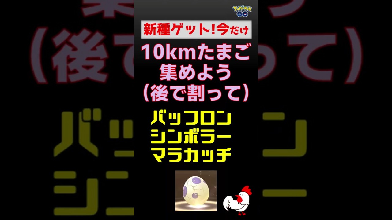【新種ゲット！10kmたまご】 #ポケモンgo #ポケモン #バッフロン #シンボラー #マラカッチ #tたまごふ化 #新種 #攻略 #初心者