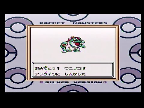 ワニノコがアリゲイツに進化しました！p１１＜ポケモン金銀＞