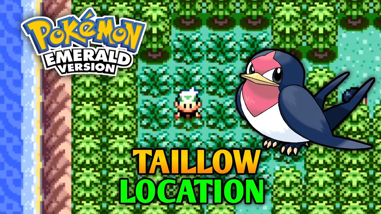 How To Catch Taillow In Pokemon Emerald - Taillow Location