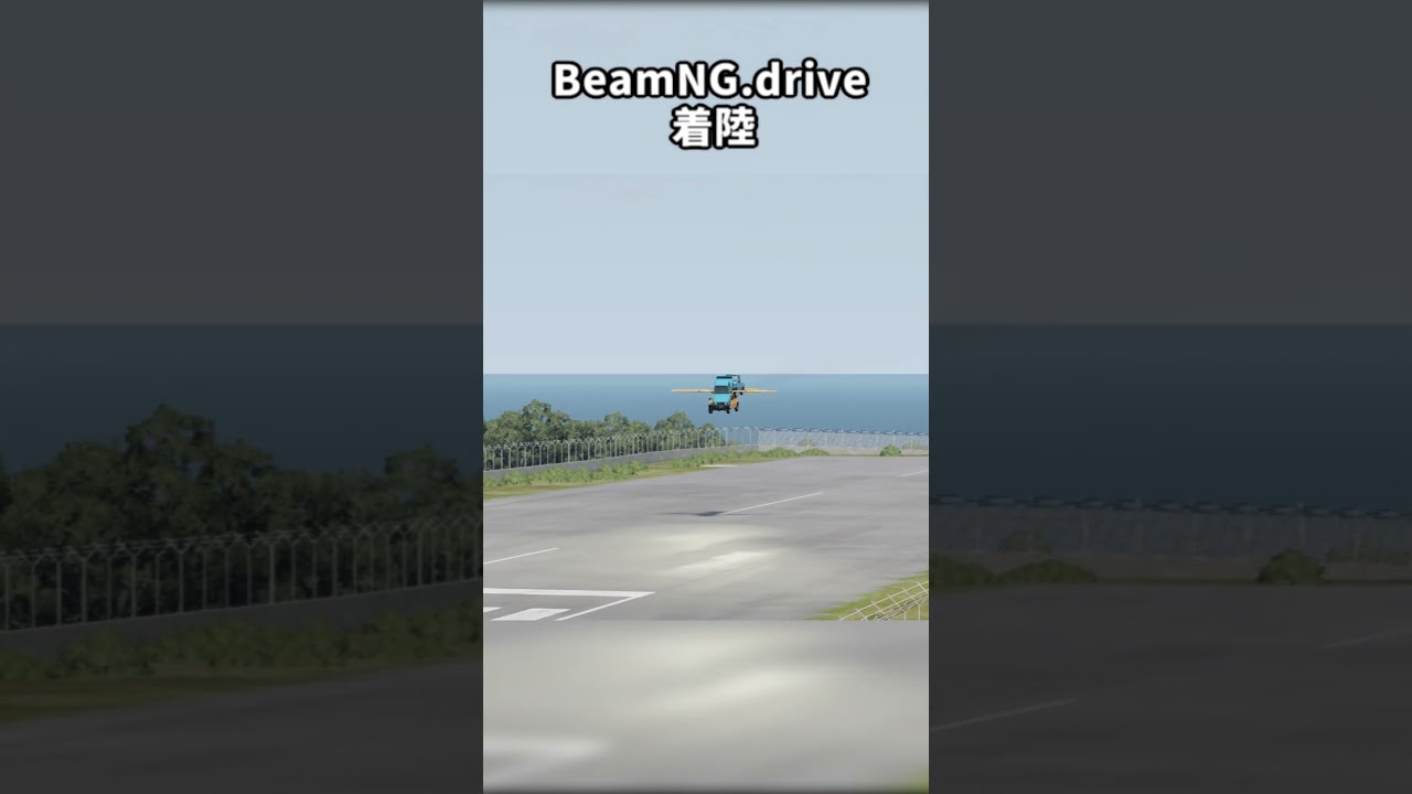 ピジョンを二台乗せた車が着陸 shorts版