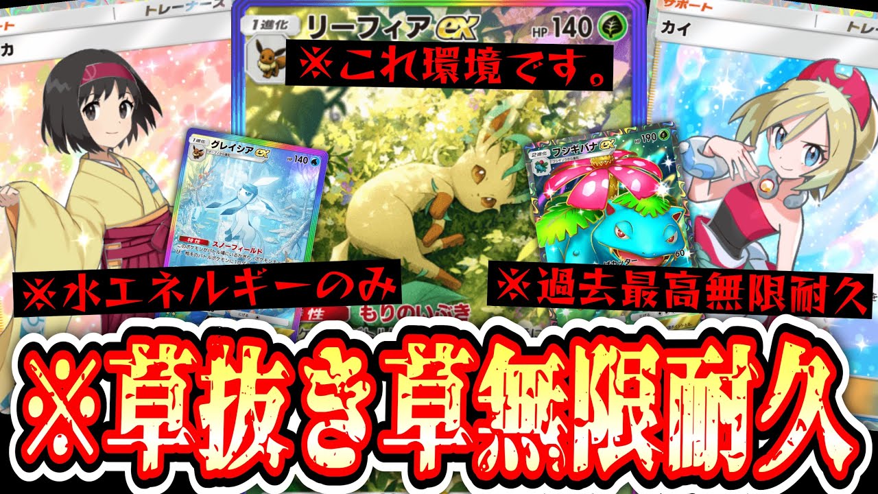 【緊急】草エネ不採用フシギバナ！？〝カイ×エリカ〟無限回復リーフィア【デッキ紹介】Pokémon Trading Card Game Pocket