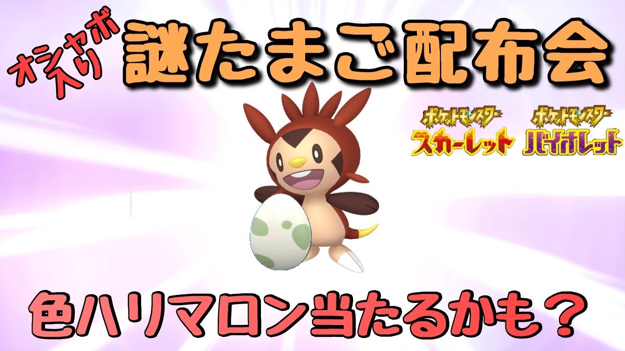 【ポケモンsv】ウルボ入りハリマロン謎卵配布会！【初見さん歓迎！】
