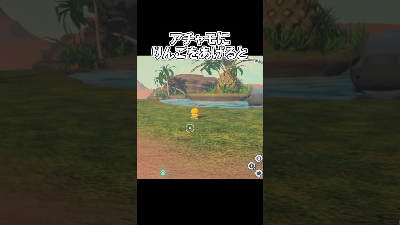 「アチャモにりんごをあげると、、▼」　#ポケモン　#ポケモンスナップ　#ポケスナ　#shorts