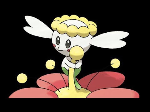 フラベベ
