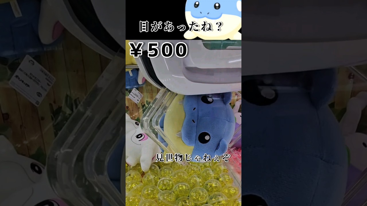 【UFOキャッチャー】タマザラシさんを落として楽しむ