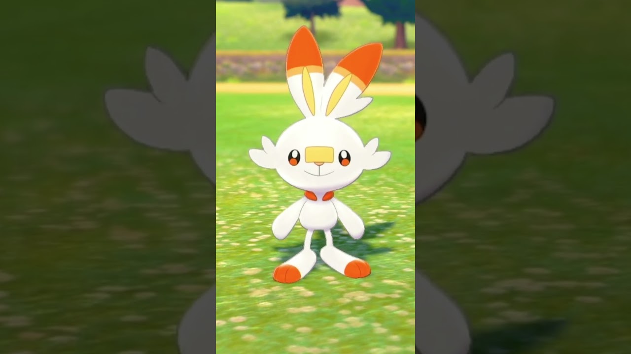 ヒバニーを愛でるかい #ポケモン #ヒバニー