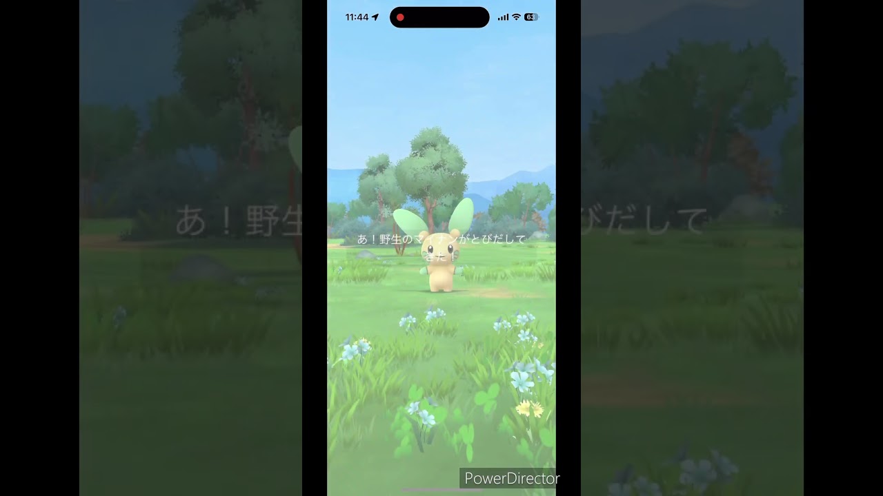 マイナン色違い✨何体目な… #ポケモンgo #pokemon #ポケgo #shinypokemon #shiny #pokémon