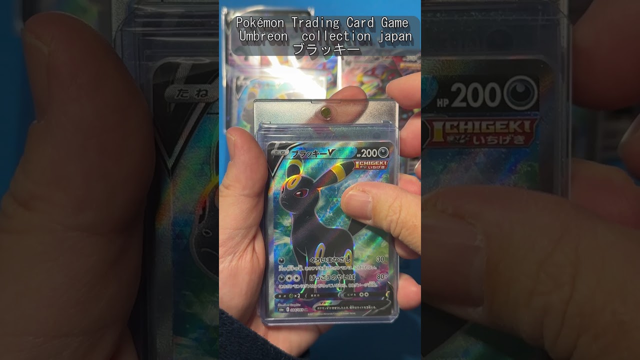ブラッキー「Umbreon」Pokémon Trading Card Game #shorts #ポケモン #Pokémon #pokemoncards