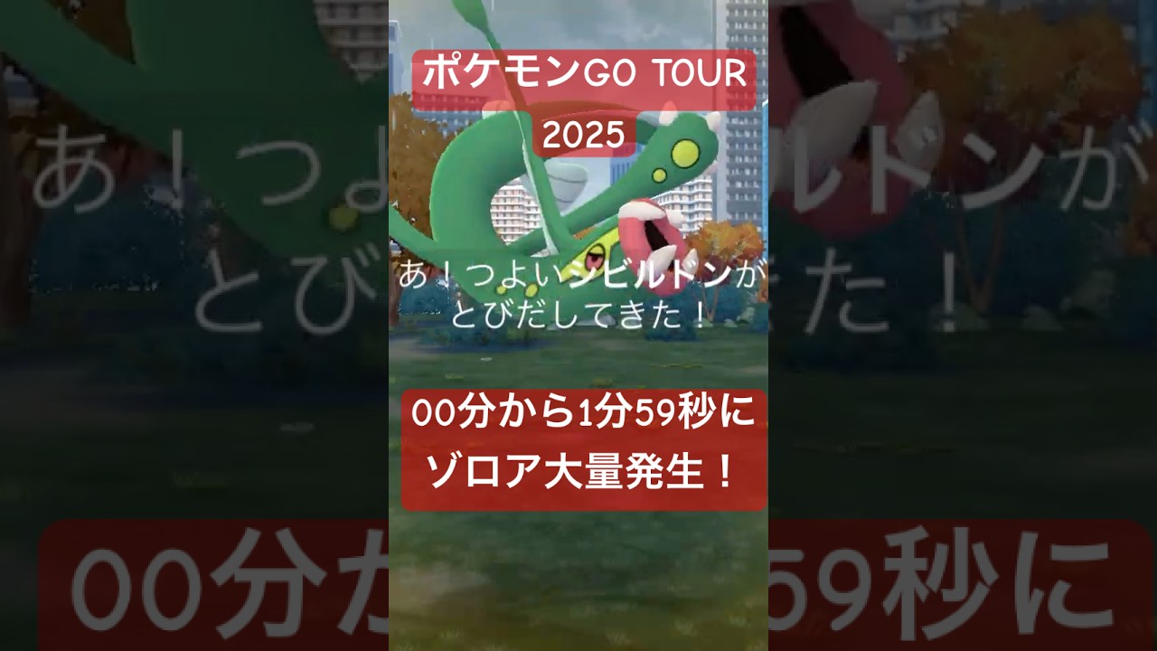 【ポケモンGOツアーグローバル】相棒ポケモン大量発生？スーパーゾロアタイムが楽しい！色違いも欲しい！#ポケモンgo #pokemongo #gotour #2025 #ゾロア