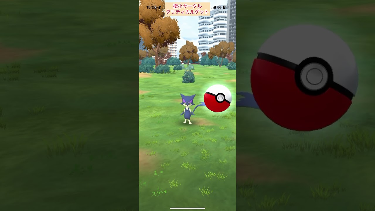 【難易度中】背景色違いチョロネコ極小サークルクリティカルゲット【ポケモンGO】