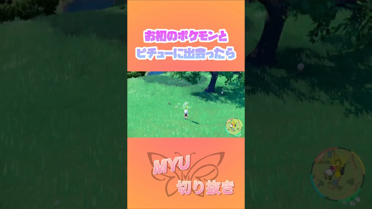 お初のポケモンとピチューに出会った時の反応…/ポケットモンスタースカーレット/MYUshorts #ポケモン #ポケットモンスタースカーレッド #ポケモンsv