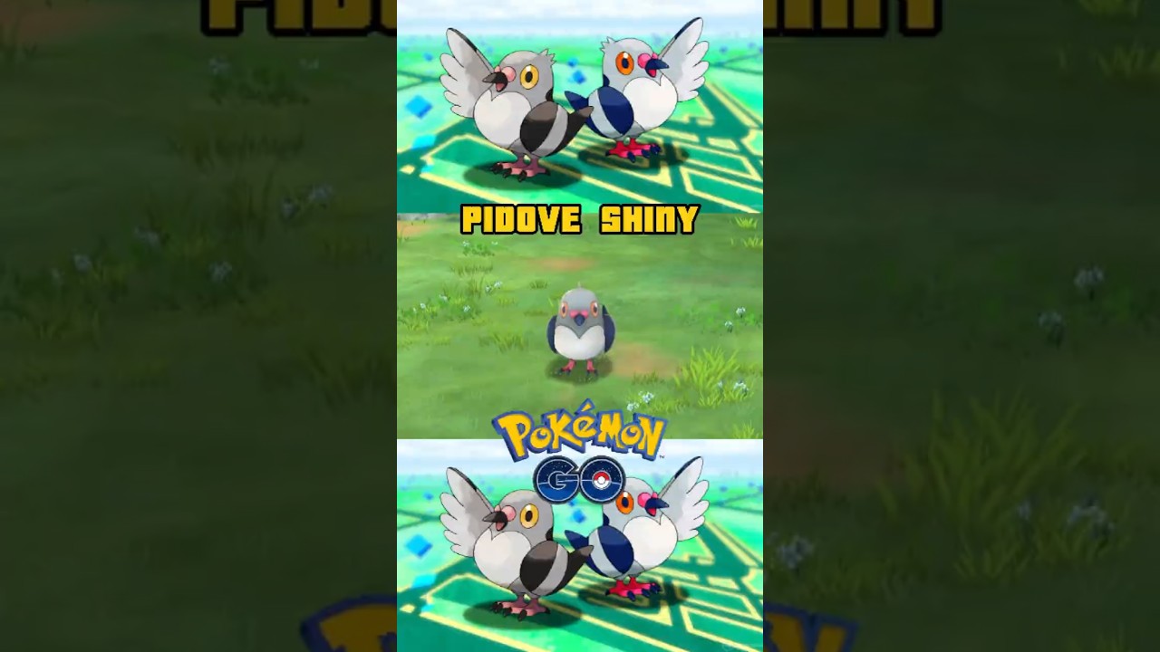 Pokemon shiny ✨ Pidove en #pokemongo  #shiny