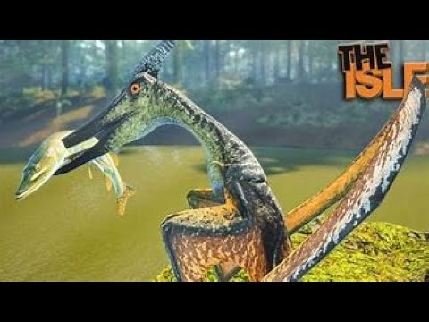 SOBREVIVENDO COM PTERONODON l THE ISLE EVRIMA