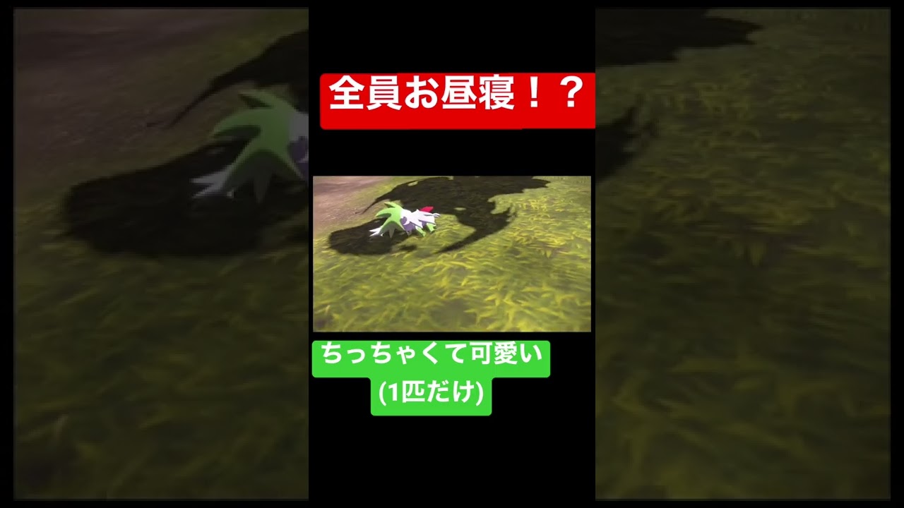 シェイミの寝た姿がまじで可愛い件について。 #shorts #アルセウス #ポケモン #ゲーム実況 #おすすめ #お昼寝 #シェイミ #かわいい #初見さん大歓迎  #ディアルガ  #パルキア