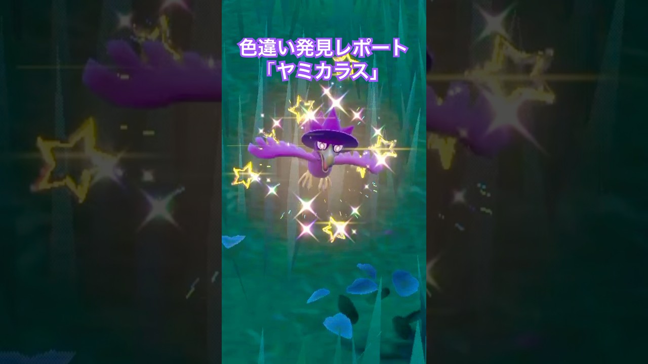 ポケモンSV 色違い発見レポート「ヤミカラス」 #ポケモンsv #色違いポケモン #shinypokemon