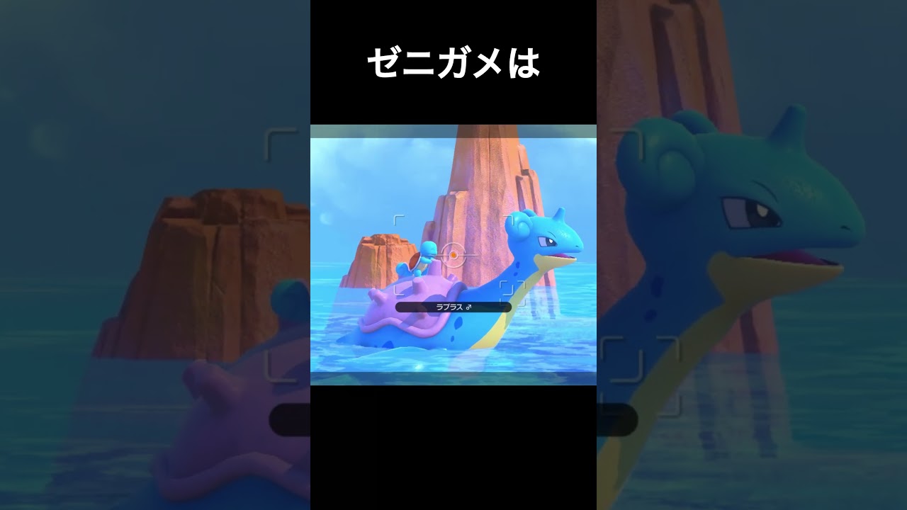 賢いゼニガメ　#ポケスナ #ポケモン #ポケモンスナップ #ゼニガメ #ラプラス