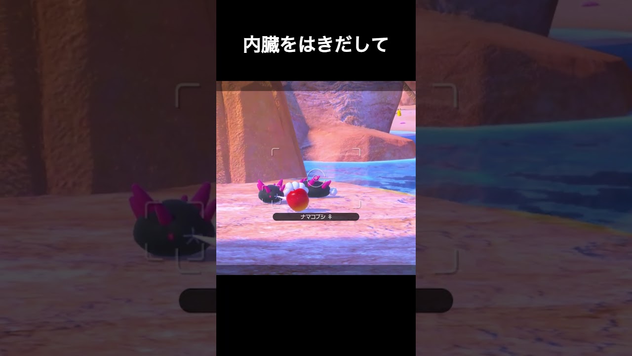 変態ナマコブシ　#ポケスナ #ポケモンスナップ #ポケモン　#ナマコブシ