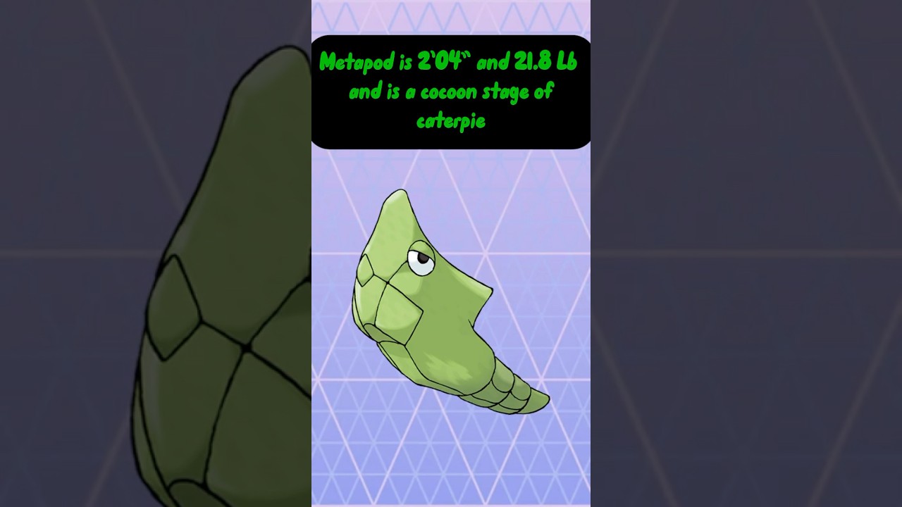 011#pokemon #metapod #funnyshorts #entertainment #facts #pokemongo #pokemoncards #pokemoncommunity