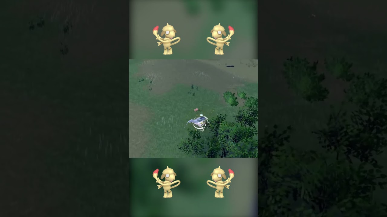 色違い ドーブル を見つけた気がしてましたよ #shorts　#ポケモンsv　#碧の仮面 #碧の円盤 #ブルレク