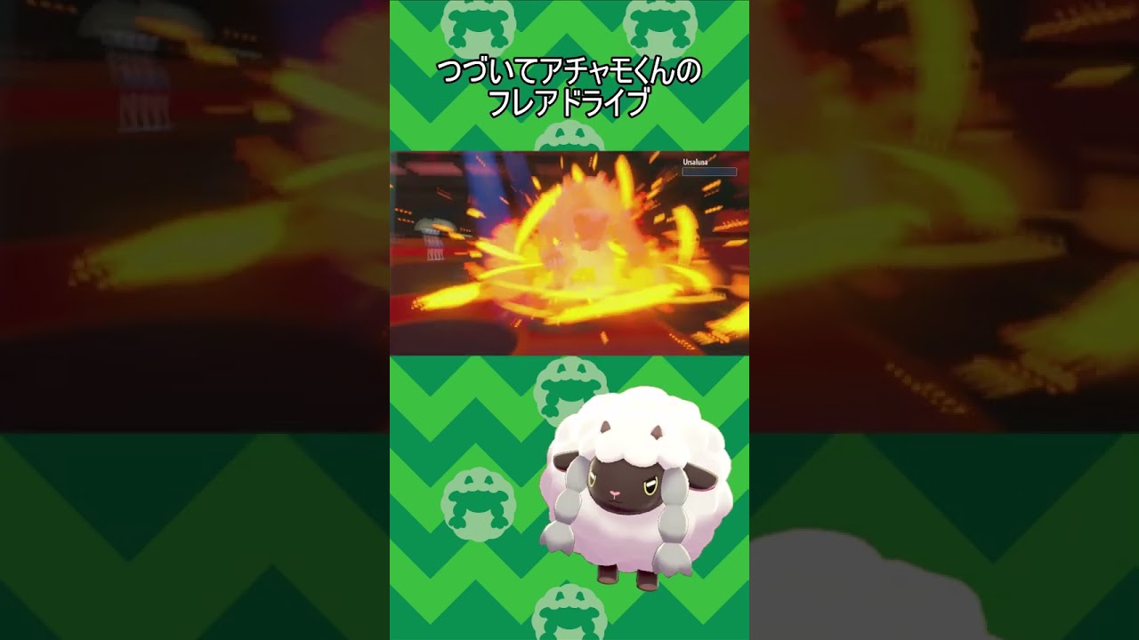 準伝クラスなら普通にワンパンしていくアチャモ　#shorts